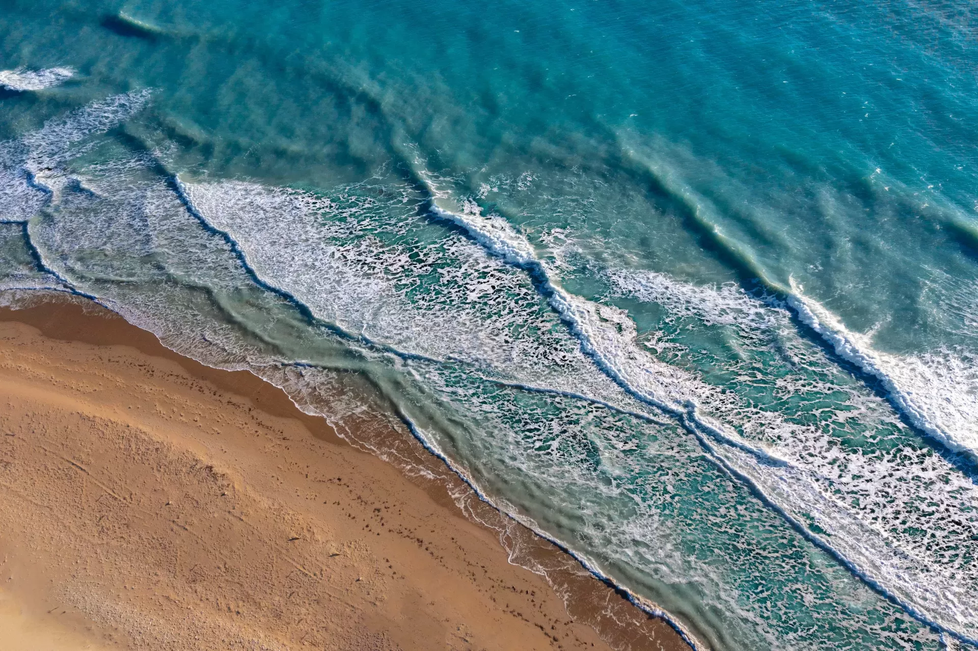 ΟΙ ΠΑΡΑΛΙΕΣ