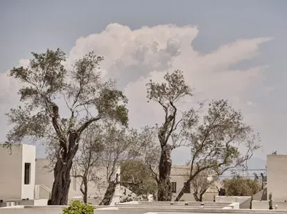 SUSTAINABILITY PHILOSOPHY